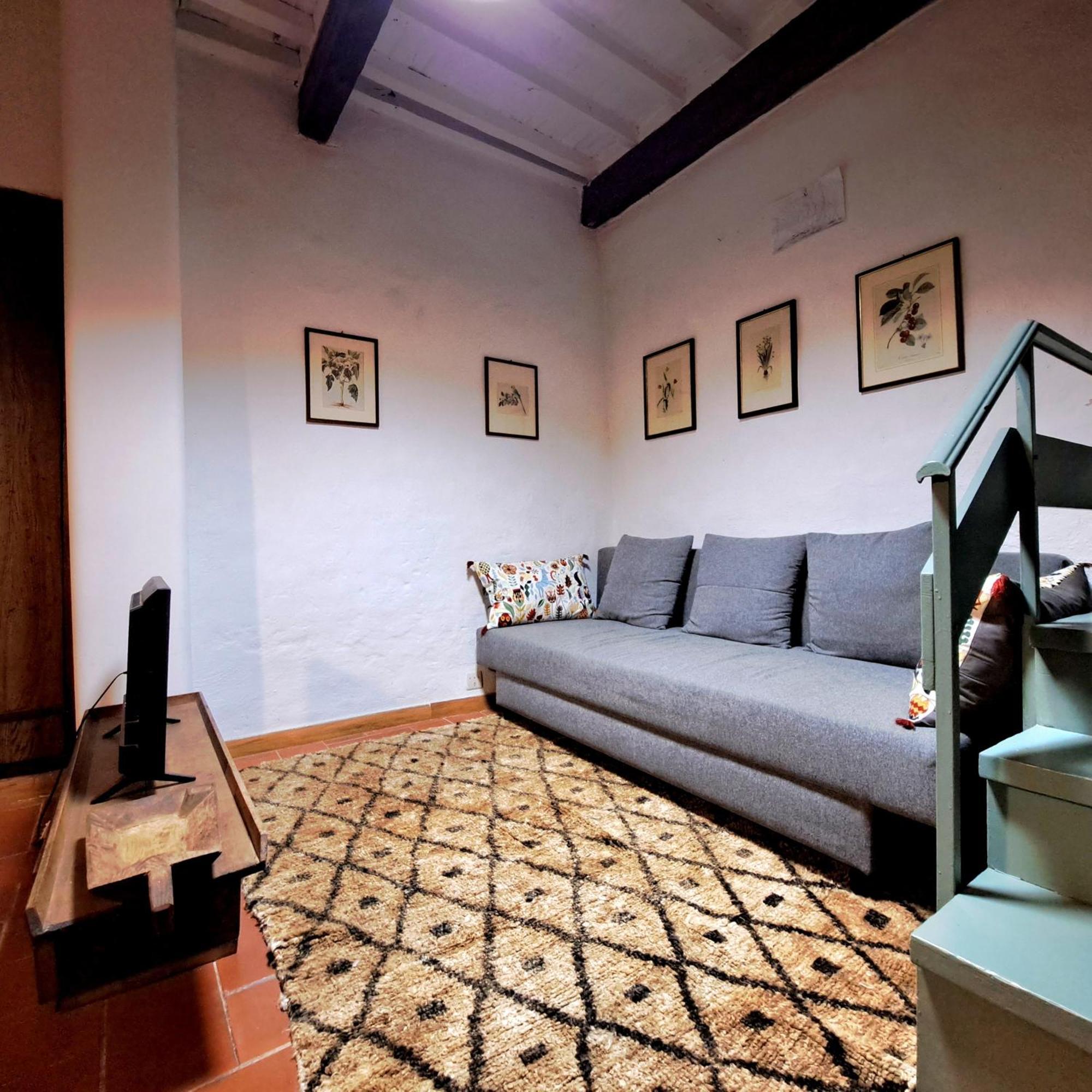 Antica Abitazione Con Vista Montagna Casa Norma Apartment Seggiano Ngoại thất bức ảnh